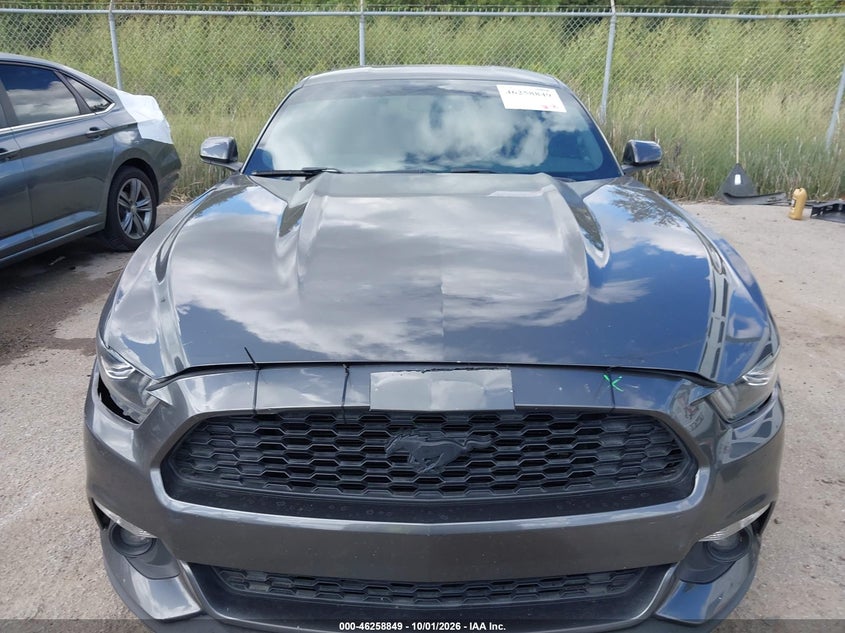 FORD MUSTANG - zdjęcie 12