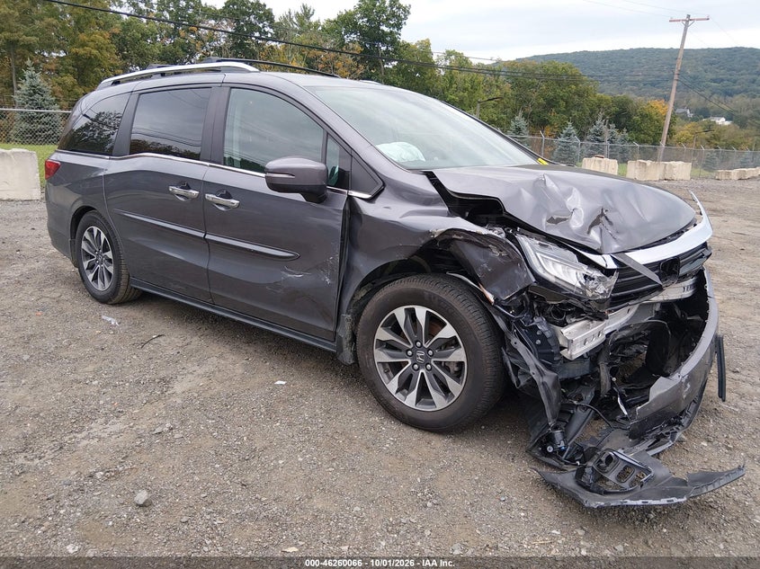 Vin: 5fnrl6h69rb009322, lot: 46760135, honda odyssey ex-l 2024 img_1