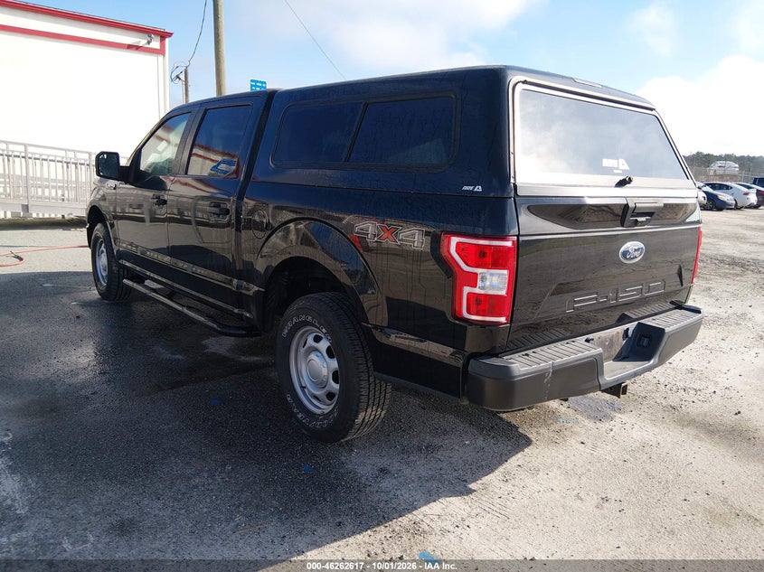 Vin: 1ftew1eb5lkf21356, lot: 46762686, ford f-150 xl 20203
