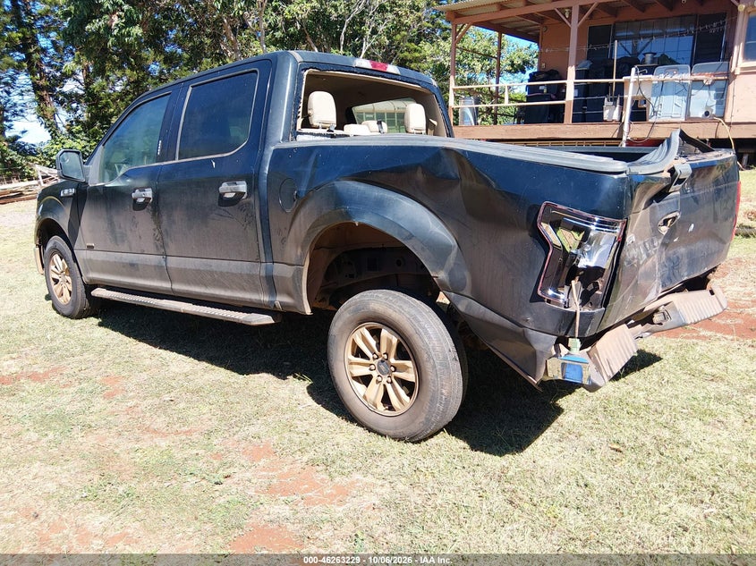 Vin: 1ftew1cp5gke25716, lot: 46763298, ford f-150 xlt 20163