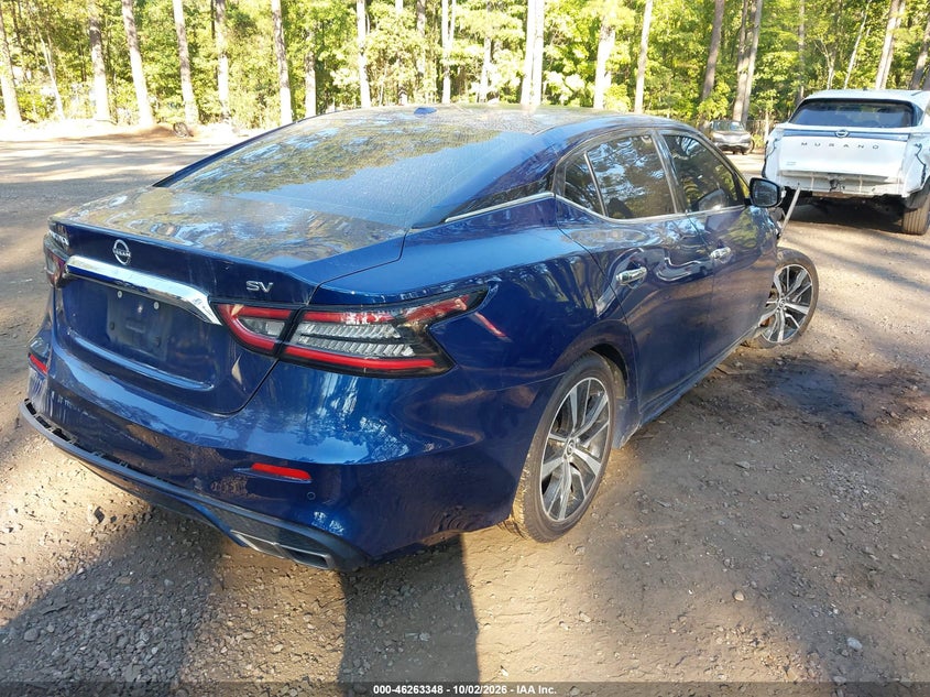 Vin: 1n4aa6cv5pc511231, lot: 46763417, nissan maxima sv xtronic cvt 20234