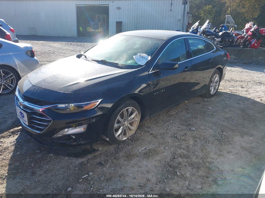 2023 Chevrolet Malibu Fwd 1Lt, Rear, IAAI, VIN 1G1ZD5ST9PF208412 — photo 2