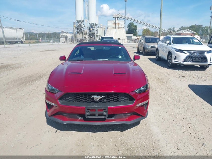 FORD MUSTANG - zdjęcie 12