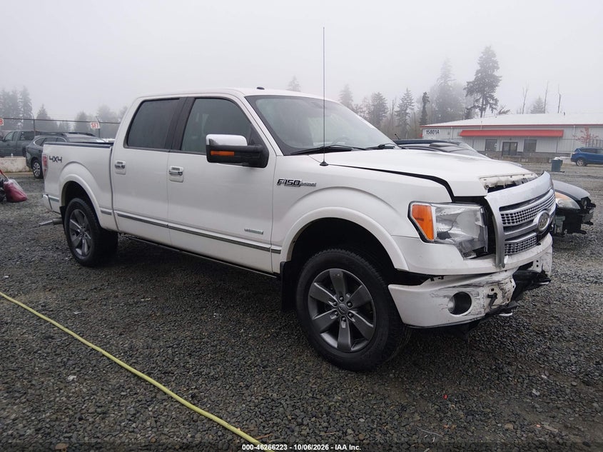 Vin: 1ftfw1et1bfc24461, lot: 46766302, ford f-150 platinum 2011 img_1
