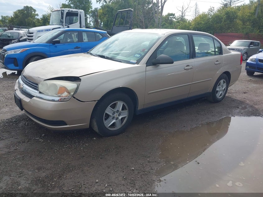 2005 CHEVROLET MALIBU LS · Фото 2
