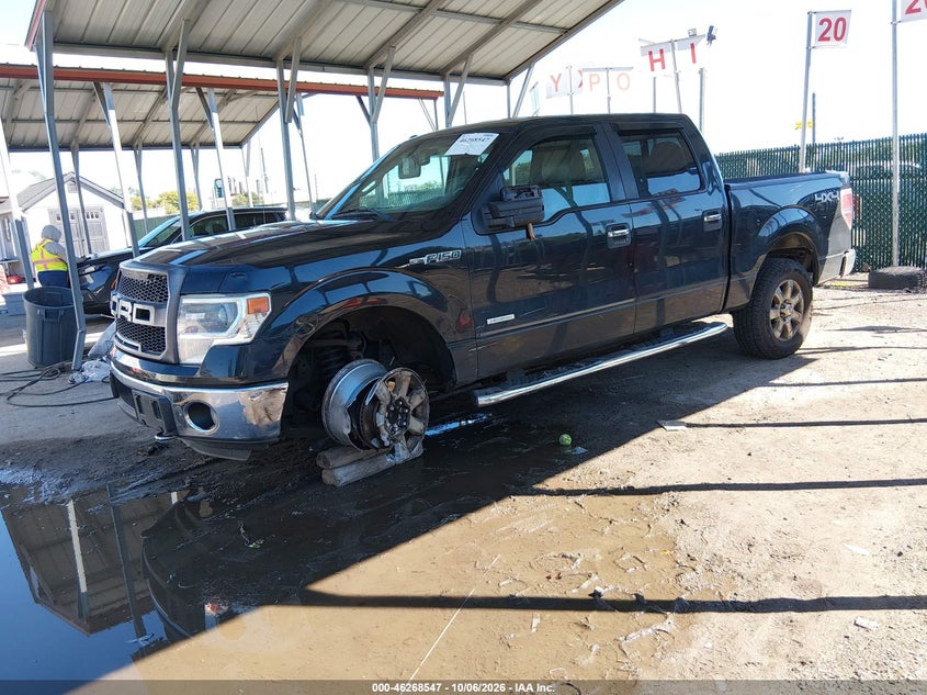 Vin: 1ftfw1et1efb41696, lot: 46768641, ford f-150 xlt 20142