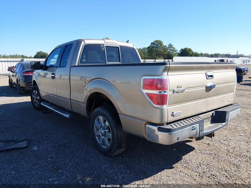 Vin: 1ftfx1cf2dfa79282, lot: 46773272, ford f-150 xlt 20133