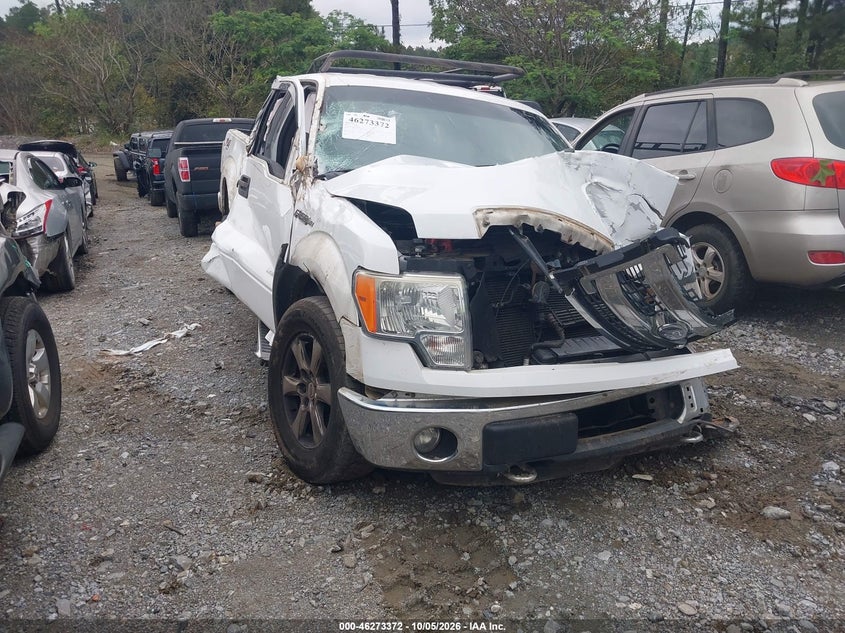 Vin: 1ftfw1et5ekg10814, lot: 46773489, ford f-150 xlt 2014 img_1