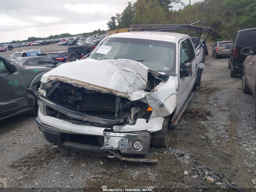 Vin: 1ftfw1et5ekg10814, lot: 46773489, ford f-150 xlt 20142