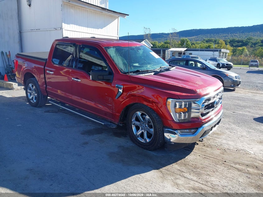 Vin: 1ftfw1e80pkd61286, lot: 46774662, ford f-150 xlt 20231