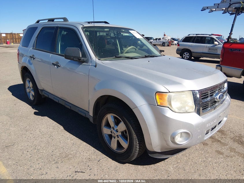 2010 Ford Escape XLT