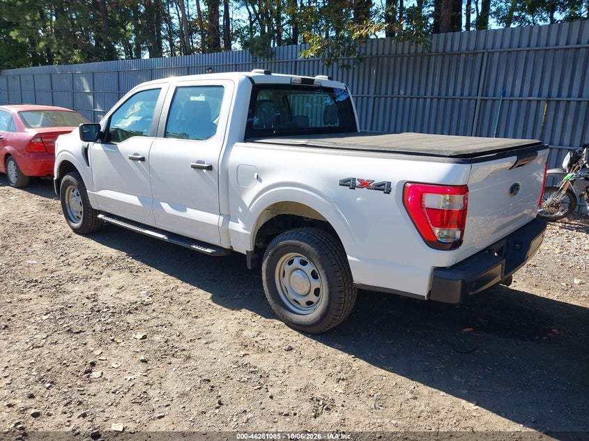 Vin: 1ftew1eb9mke46257, lot: 46781231, ford f-150 xl 20213