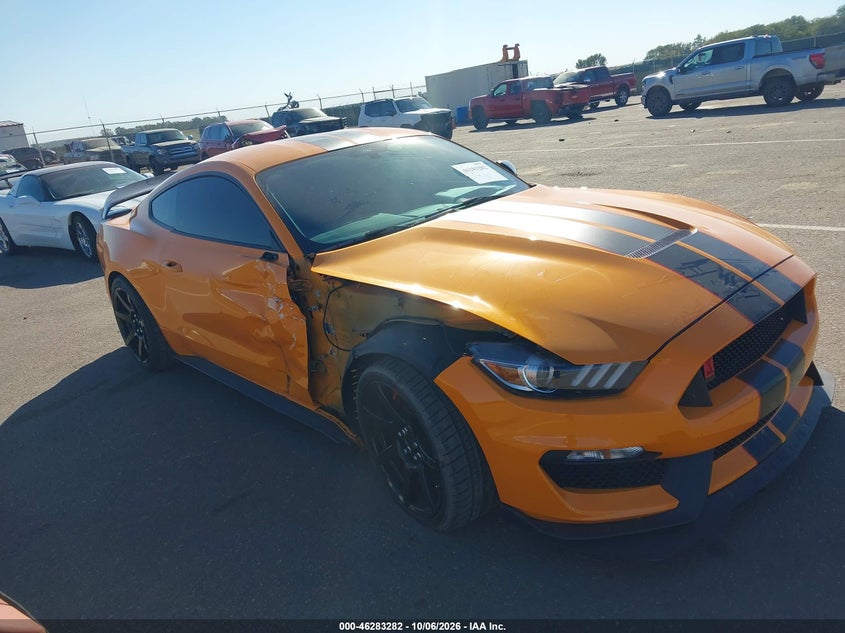 Vin: 1fa6p8jz8k5553251, lot: 46783428, ford mustang shelby gt350r fastback 2019 img_1