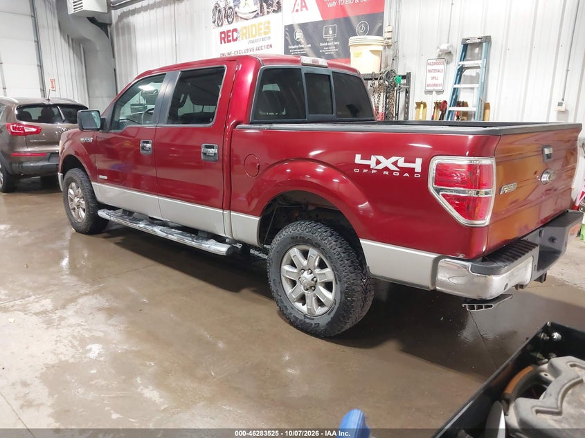 Vin: 1ftfw1et1dfa11495, lot: 46783671, ford f-150 xlt 20133