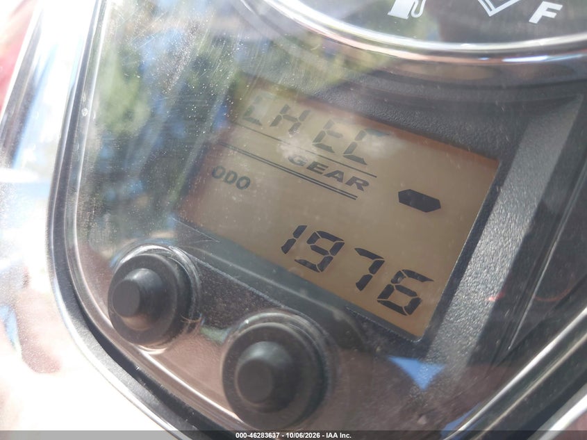SUZUKI VL800 2024