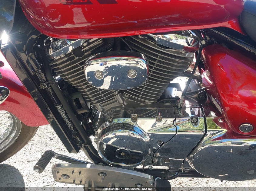 SUZUKI VL800 2024
