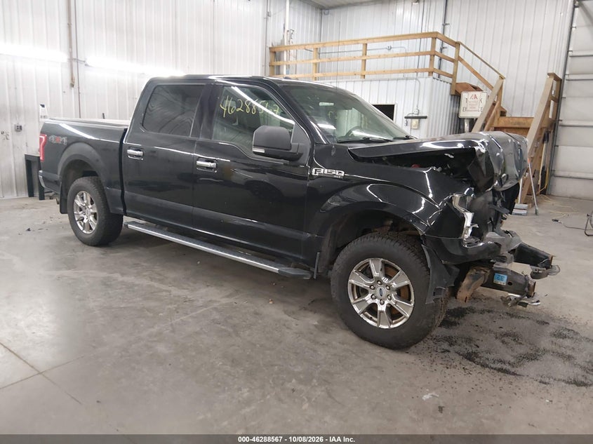 Vin: 1ftew1ef3fkd16609, lot: 46788730, ford f-150 xlt 20151