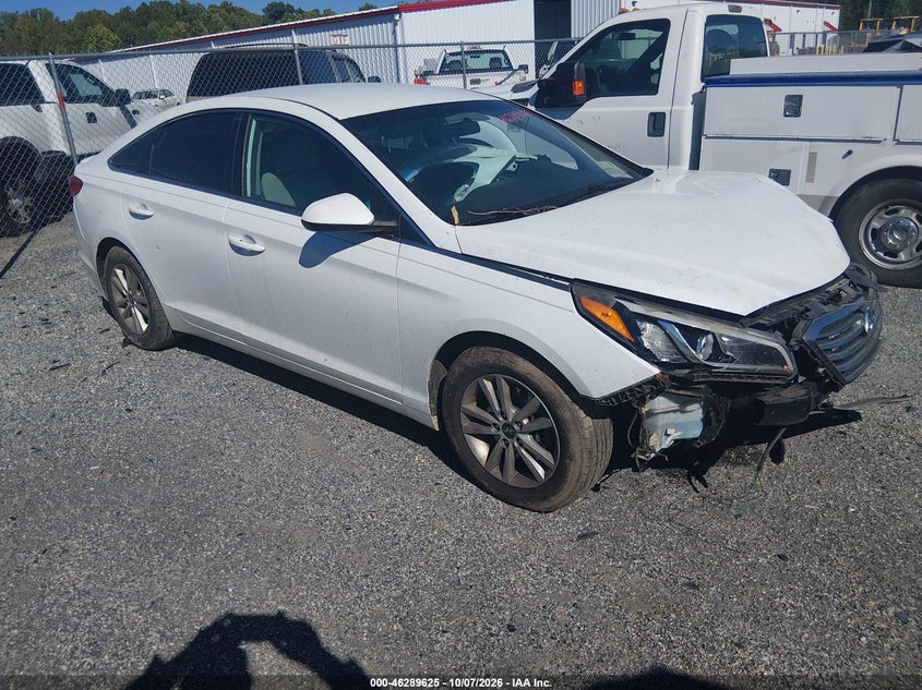 lot image 4