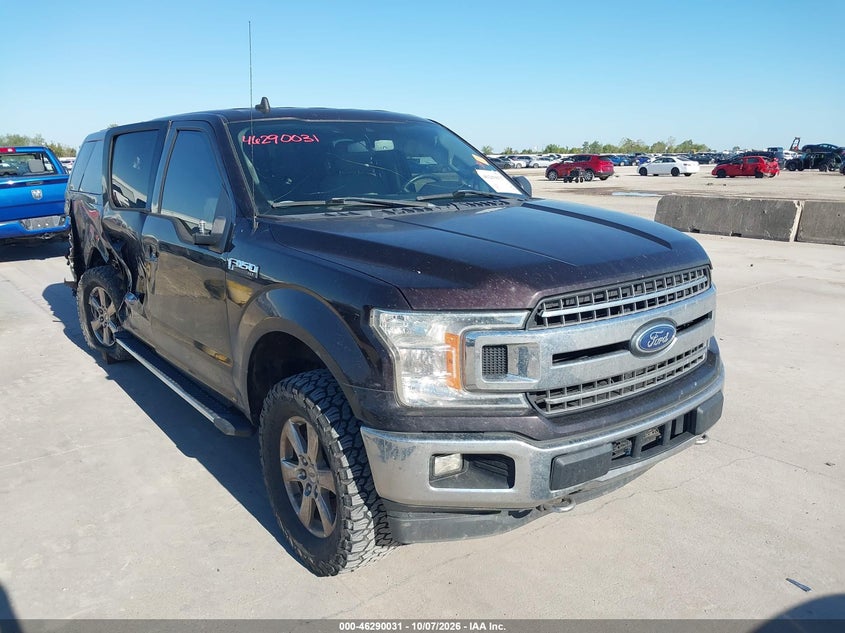 Vin: 1ftew1e40kkd96251, lot: 46790194, ford f-150 xlt 2019 img_1