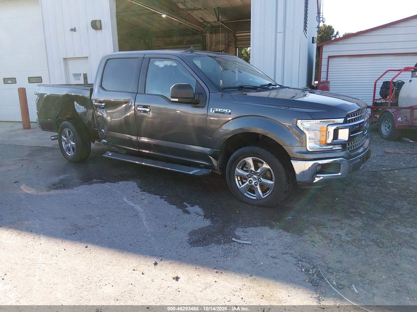 Vin: 1ftew1cp2kfd08970, lot: 46793628, ford f-150 xlt 2019 img_1
