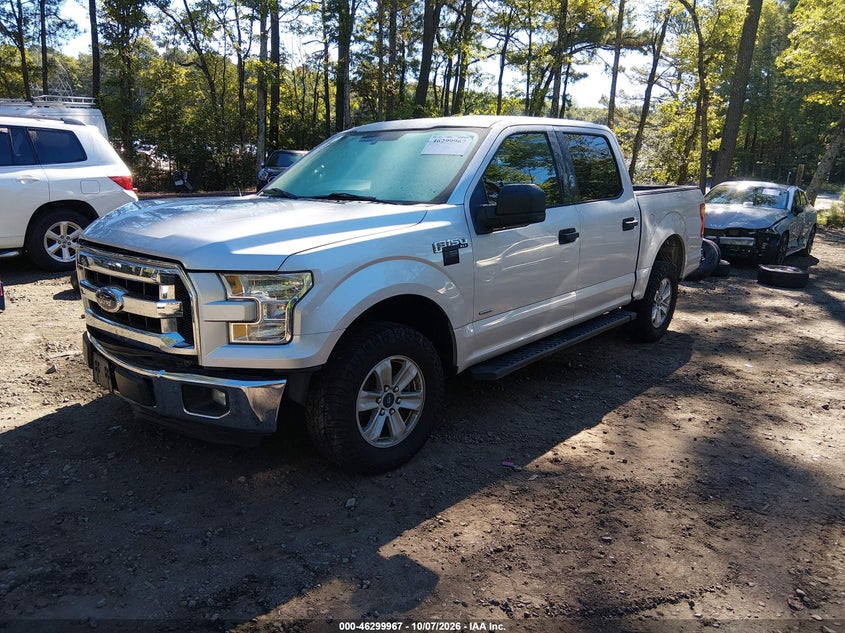 Vin: 1ftew1cpxgkf65891, lot: 46800130, ford f-150 xlt 20162