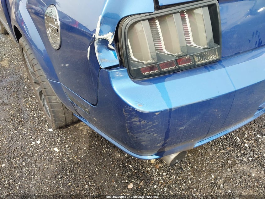 FORD MUSTANG 2007 VIN 1ZVFT82H975238510