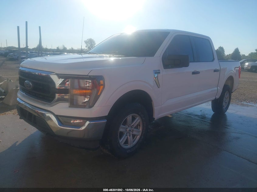 Vin: 1ftew1ep4pkd19223, lot: 46801791, ford f-150 xlt 20232