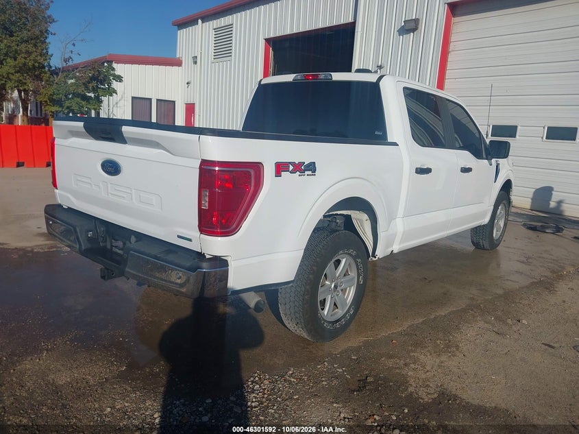 Vin: 1ftew1ep4pkd19223, lot: 46801791, ford f-150 xlt 20234