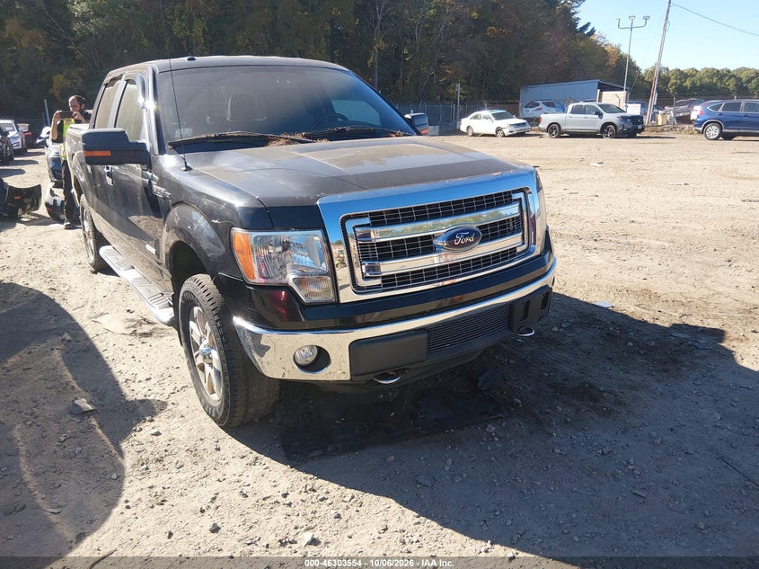 Vin: 1ftfw1etxdfa84221, lot: 46803753, ford f-150 xlt 20131