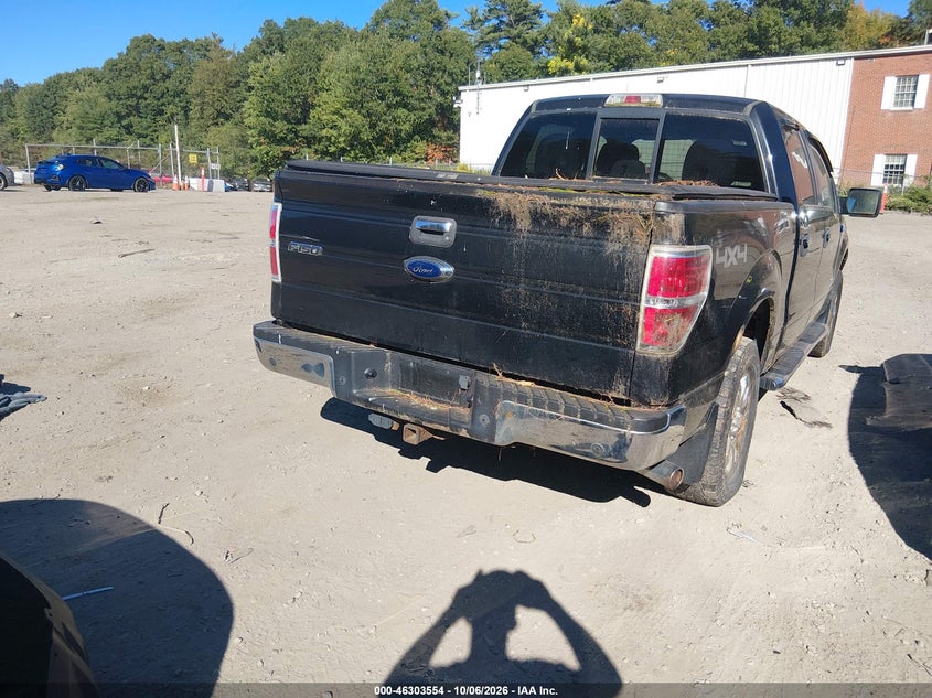Vin: 1ftfw1etxdfa84221, lot: 46803753, ford f-150 xlt 20134