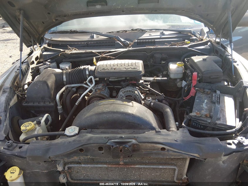 DODGE DAKOTA 2010 VIN 1D7CW3GKXAS159057