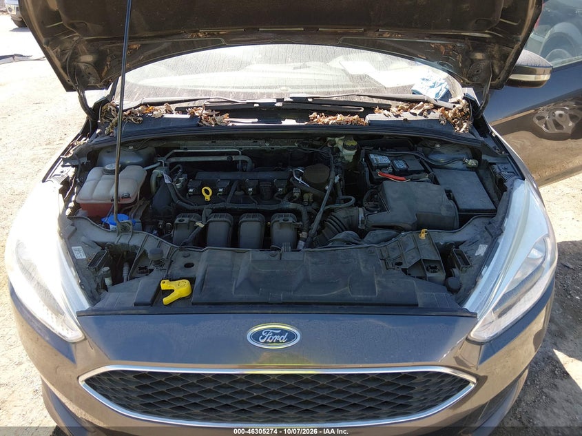 FORD FOCUS 2016 VIN 1FADP3F2XGL293363