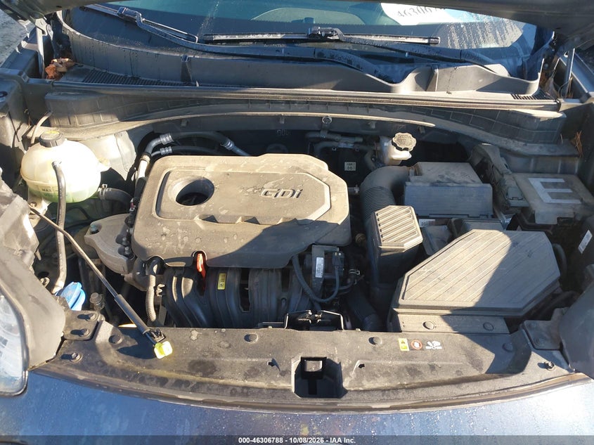 KIA SPORTAGE 2017 VIN KNDPM3AC5H7230391
