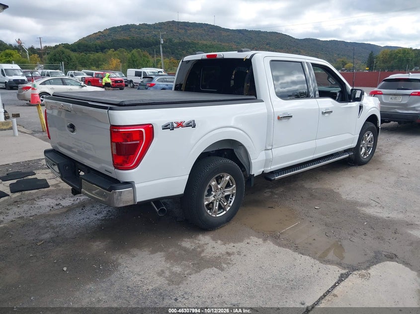 Vin: 1ftew1ep0mfc78528, lot: 46808193, ford f-150 xlt 20214