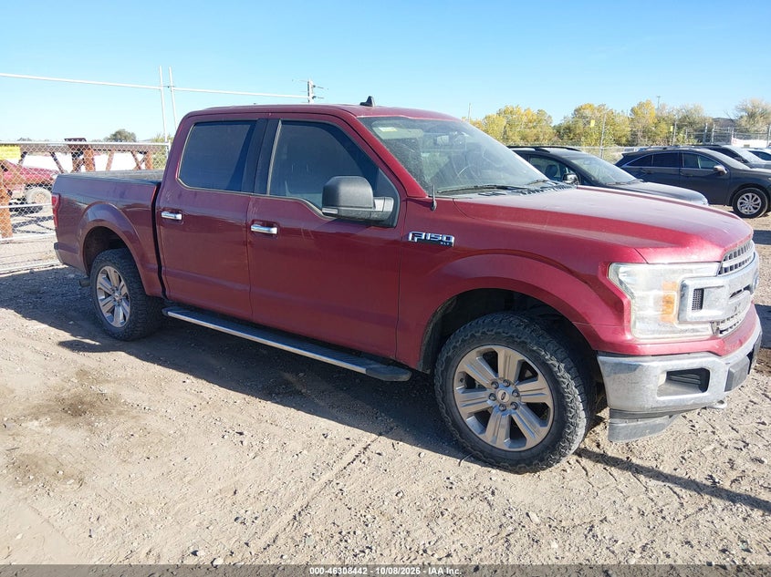 Vin: 1ftew1ep8kkc48875, lot: 46808642, ford f-150 xlt 20191