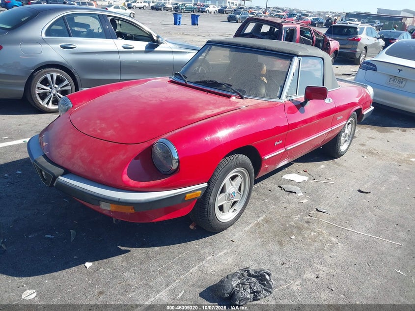 ALFA-ROMEO SPIDER 1988 VIN ZARBA5645J1062735