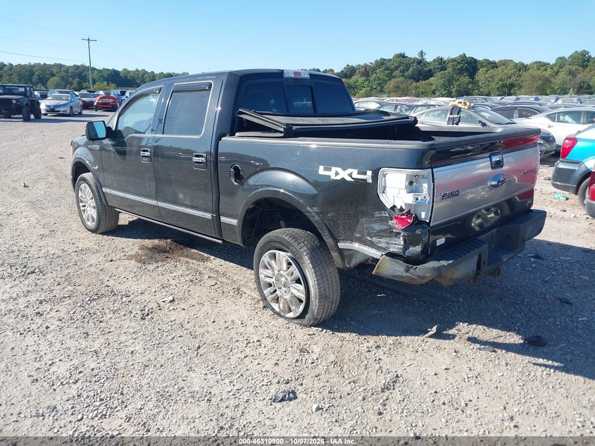 Vin: 1ftfw1ev5afb85616, lot: 46811099, ford f-150 fx4/harley-davidson/king ranch/lariat/platinum/xl/xlt 20103