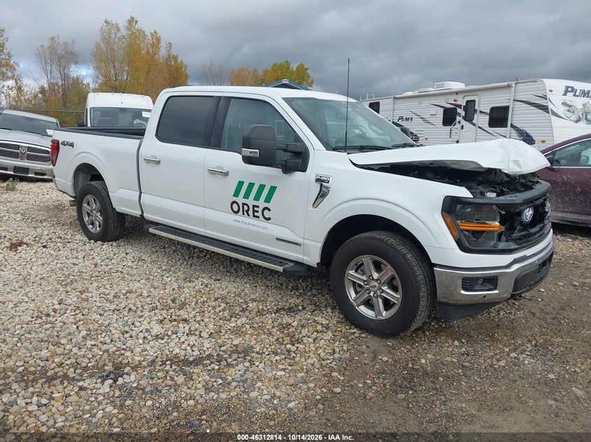 Vin: 1ftfw3ld1sfb01654, lot: 46813014, ford f-150 xlt 2025 img_1