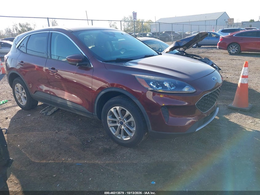 Vin: 1fmcu9g64mub24900, lot: 46813802, ford escape se 2021 img_1