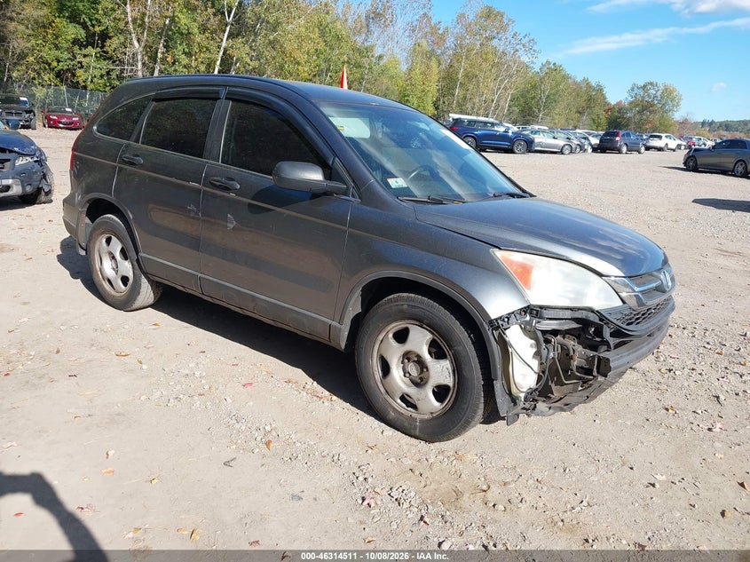 Vin: 5j6re4h30al042077, lot: 46814734, honda cr-v lx 2010 img_1