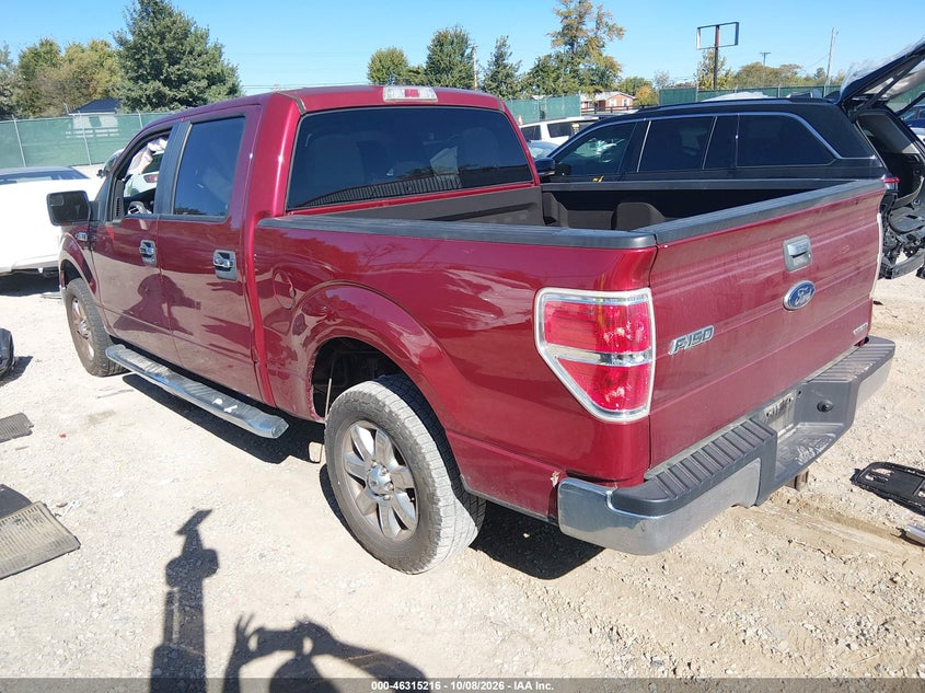 Vin: 1ftfw1cf6ekd36844, lot: 46815439, ford f-150 xlt 20143