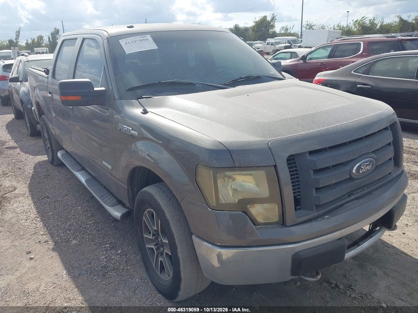 Vin: 1ftfw1et5dke63599, lot: 46819281, ford f-150 xlt 2013 img_1
