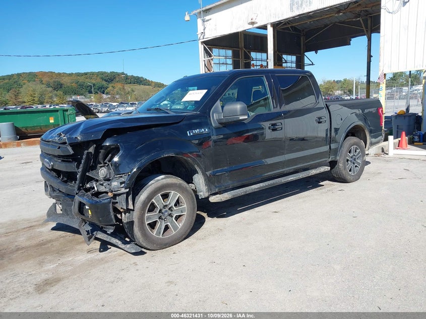 Vin: 1ftew1ef2gfd46145, lot: 46821653, ford f-150 xlt 20162
