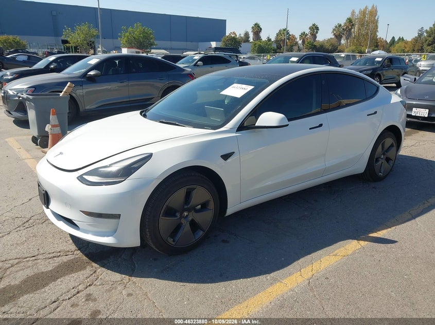 Vin: 5yj3e1ea5pf438613, lot: 46824128, tesla model 3 rear-wheel drive 20232