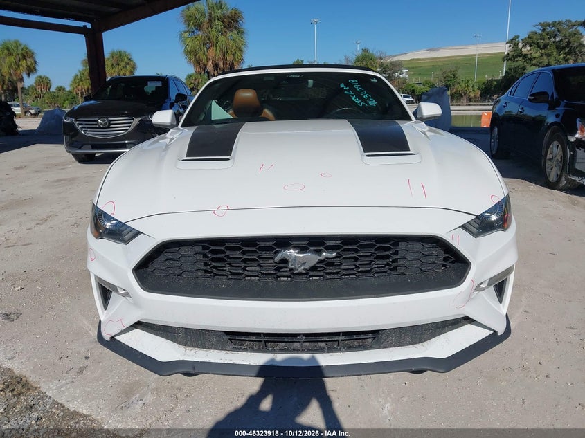 FORD MUSTANG - zdjęcie 13