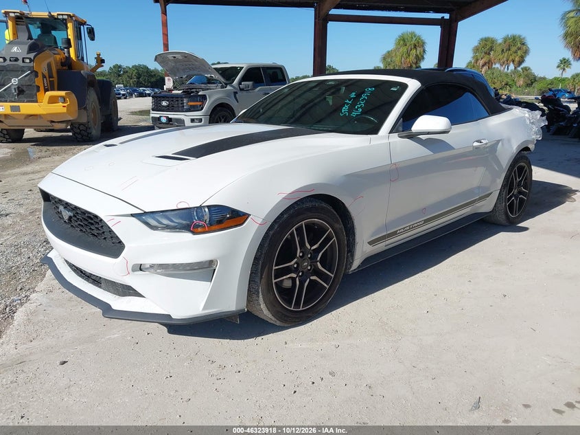FORD MUSTANG - zdjęcie 2