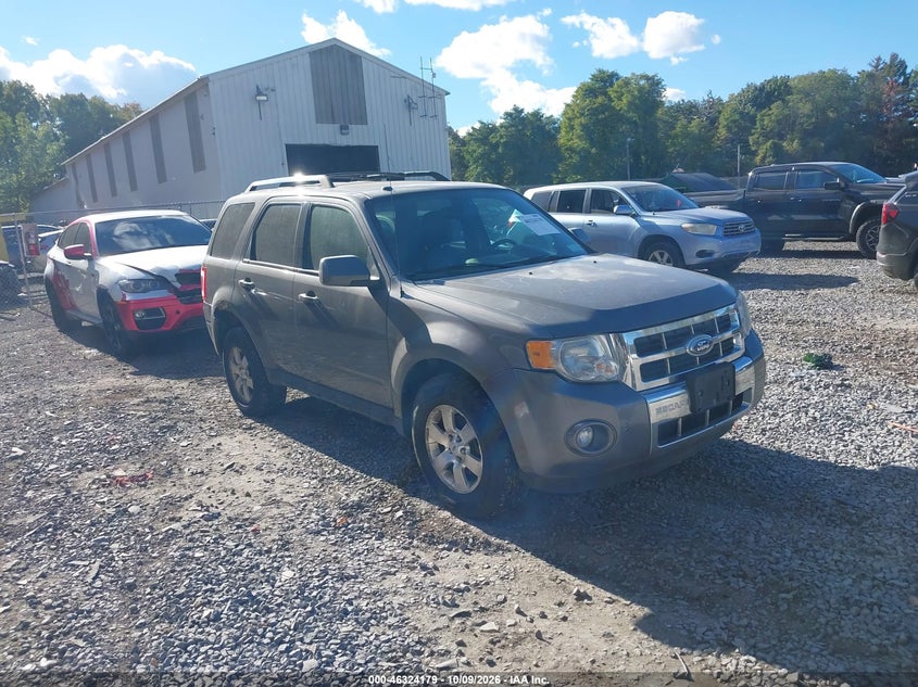 2011 Ford Escape Limited