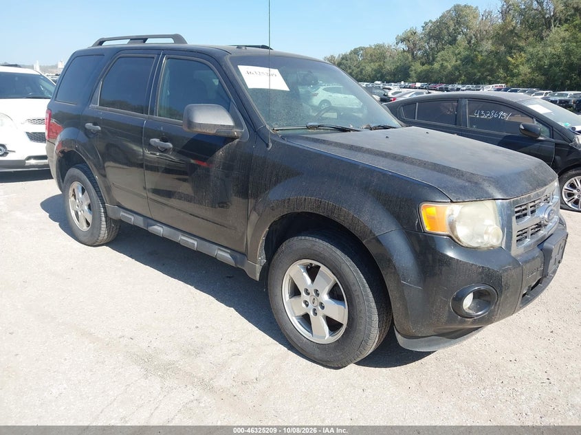Vin: 1fmcu0d72bkb34567, lot: 46825462, ford escape xlt 2011 img_1