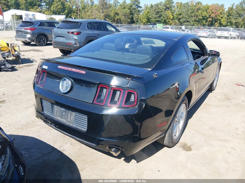 FORD MUSTANG 2013 VIN 1ZVBP8AM1D5247389