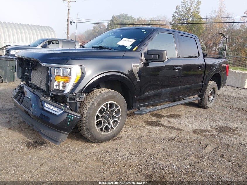 Vin: 1ftew1ep7pke04427, lot: 46830093, ford f-150 xlt 20232